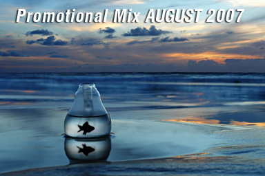 Promotional Mix 2007 - AUGUST